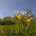 Woodford In Old Farm * Κιλάρνεϊ
