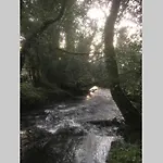 Woodford In Old Farm * Κιλάρνεϊ