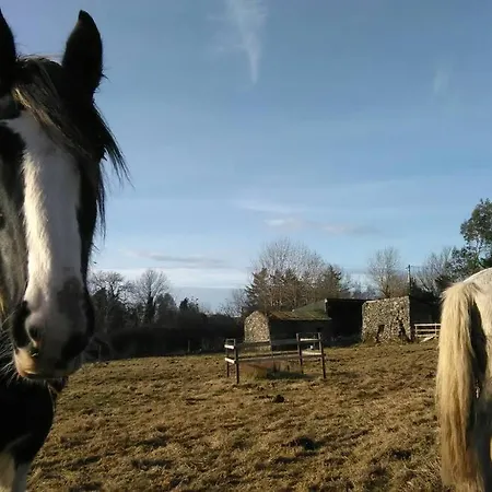 Woodford In Old Farm Semesterbostad *