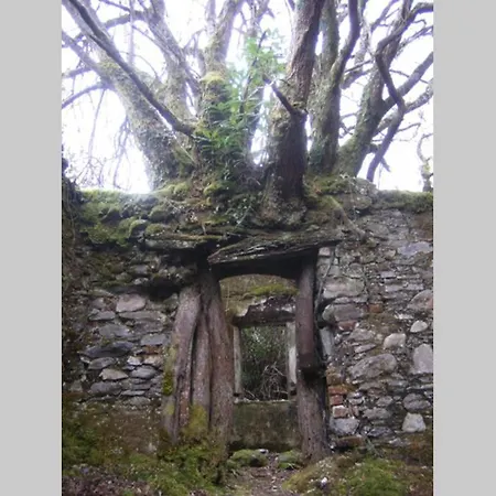 Woodford In Old Farm Cill Airne