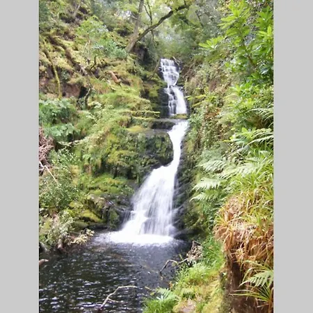 Woodford In Old Farm * Cill Airne