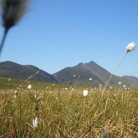 Semesterbostad Woodford In Old Farm *