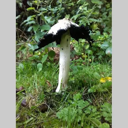 Semesterbostad Woodford In Old Farm Cill Airne