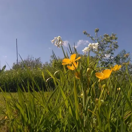 Woodford In Old Farm * Cill Airne