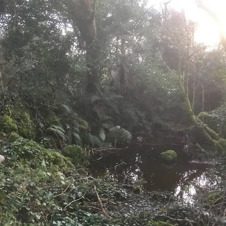 Woodford In Old Farm Semesterbostad *