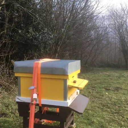 Semesterbostad Woodford In Old Farm *