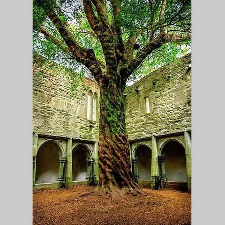 Semesterbostad Woodford In Old Farm Cill Airne