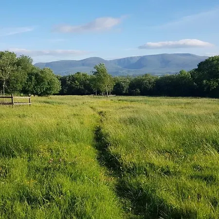 Woodford In Old Farm