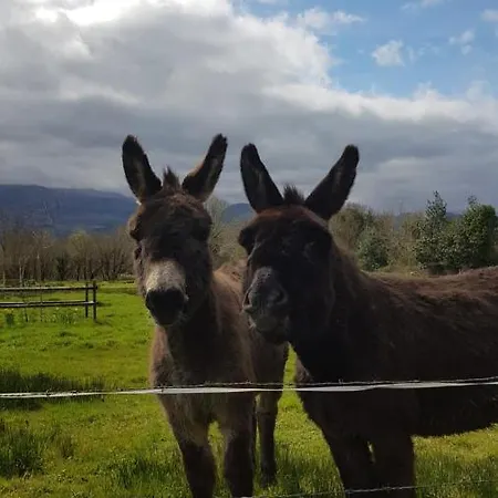 Woodford In Old Farm Semesterbostad