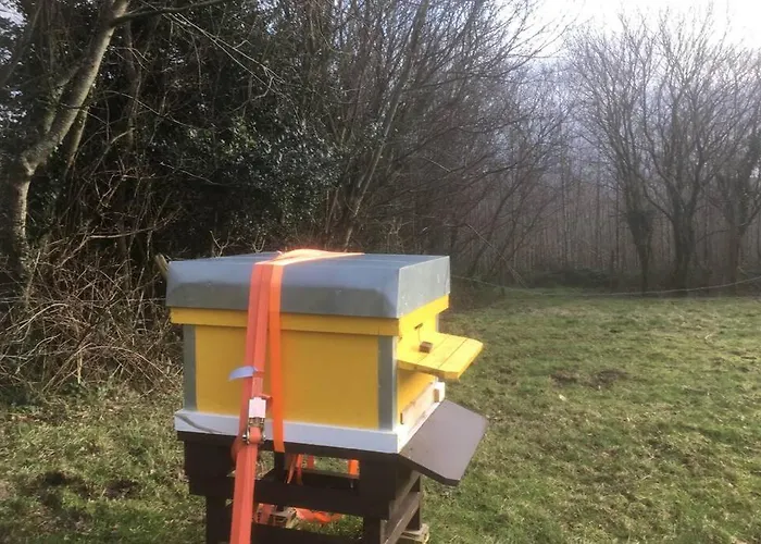 Feriehus Woodford In Old Farm *