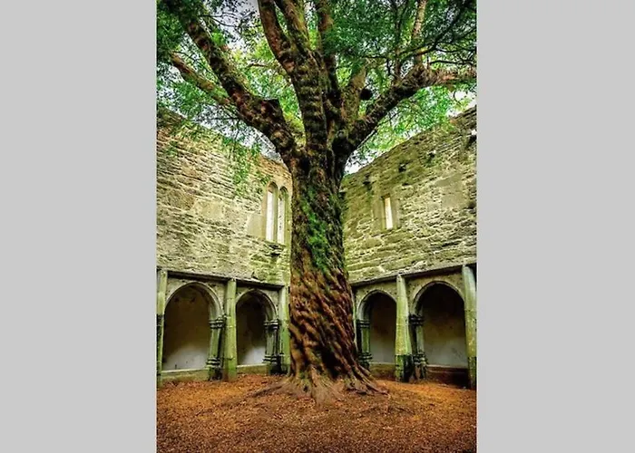 Feriehus Woodford In Old Farm Killarney