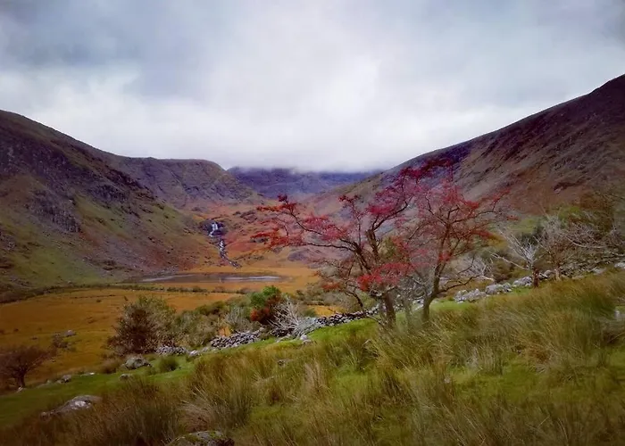 Woodford In Old Farm